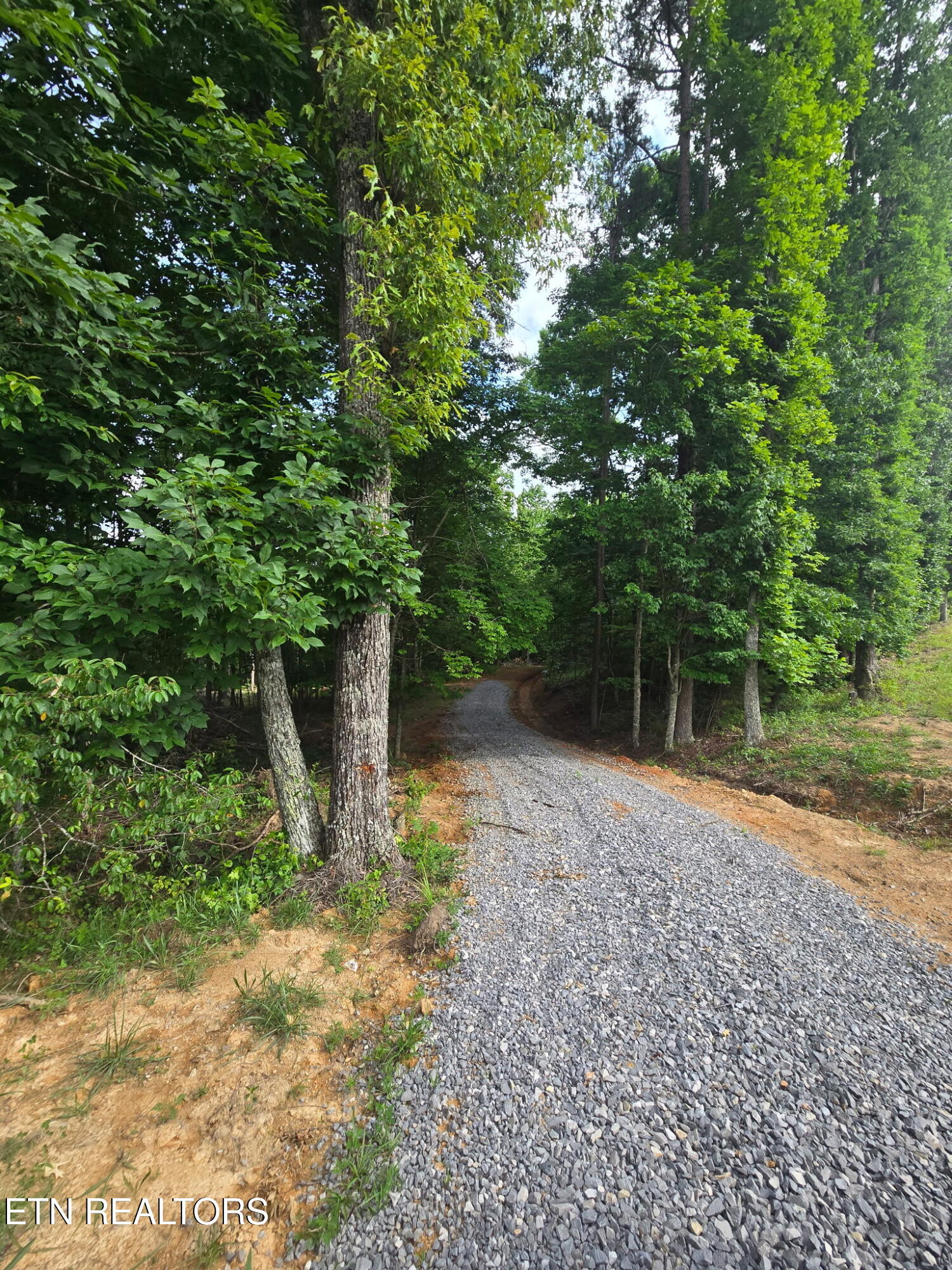 1460 Big Neck Road Grandview, TN 37337 - Photo 21 of 32 Driveway