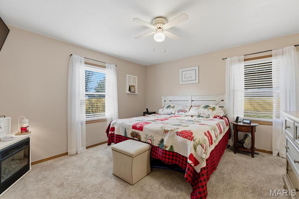 107 North Edison Street Freeburg, IL 62243 - Photo 21 of 38