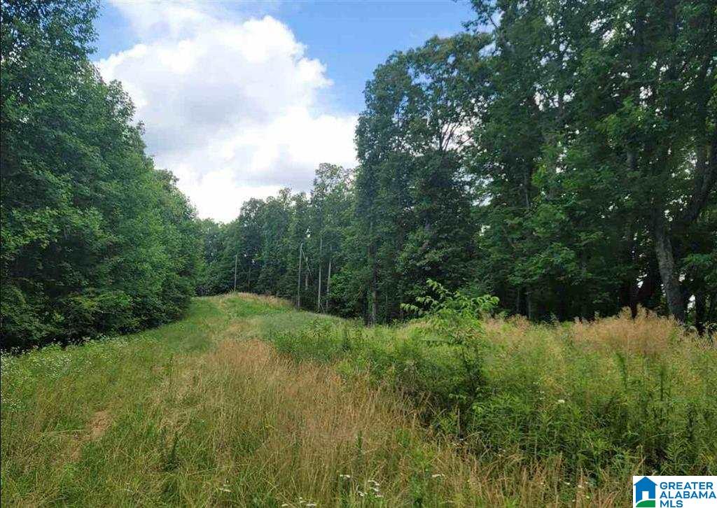 116 County Road 116, Unit 15 Heflin, AL 36264 - Photo 1 of 2