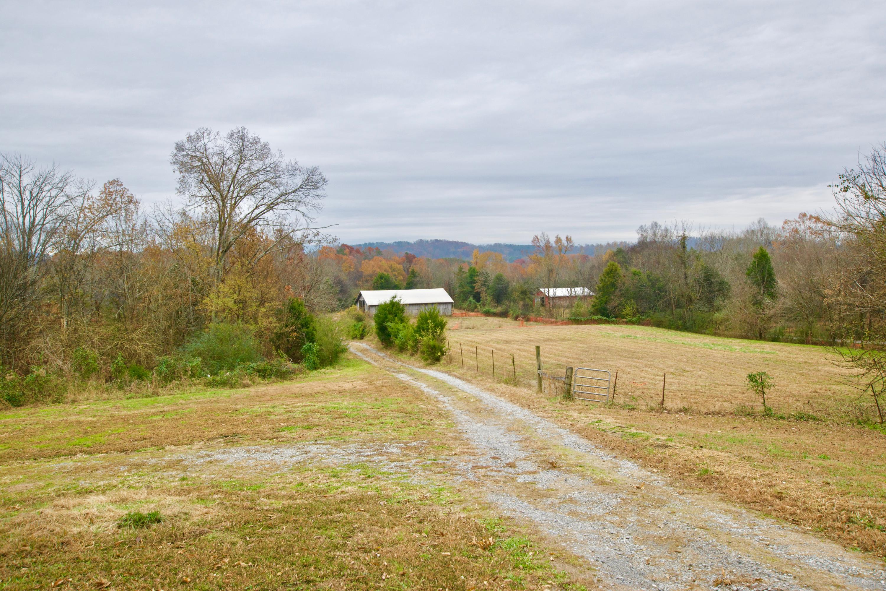 4305 Craigs Chapel Road Greenback, TN 37742 - Photo 26 of 38 DSC_0320