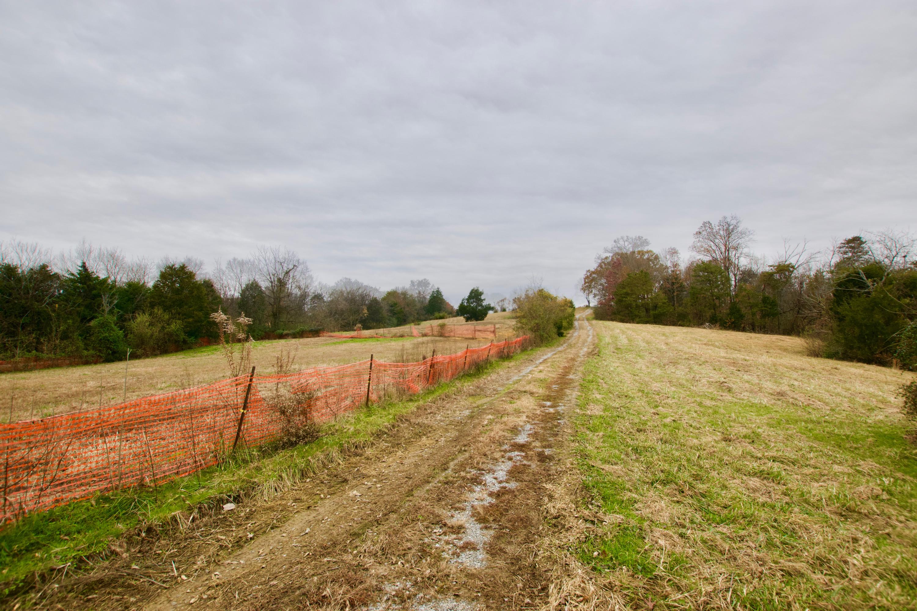 4305 Craigs Chapel Road Greenback, TN 37742 - Photo 34 of 38 DSC_0316