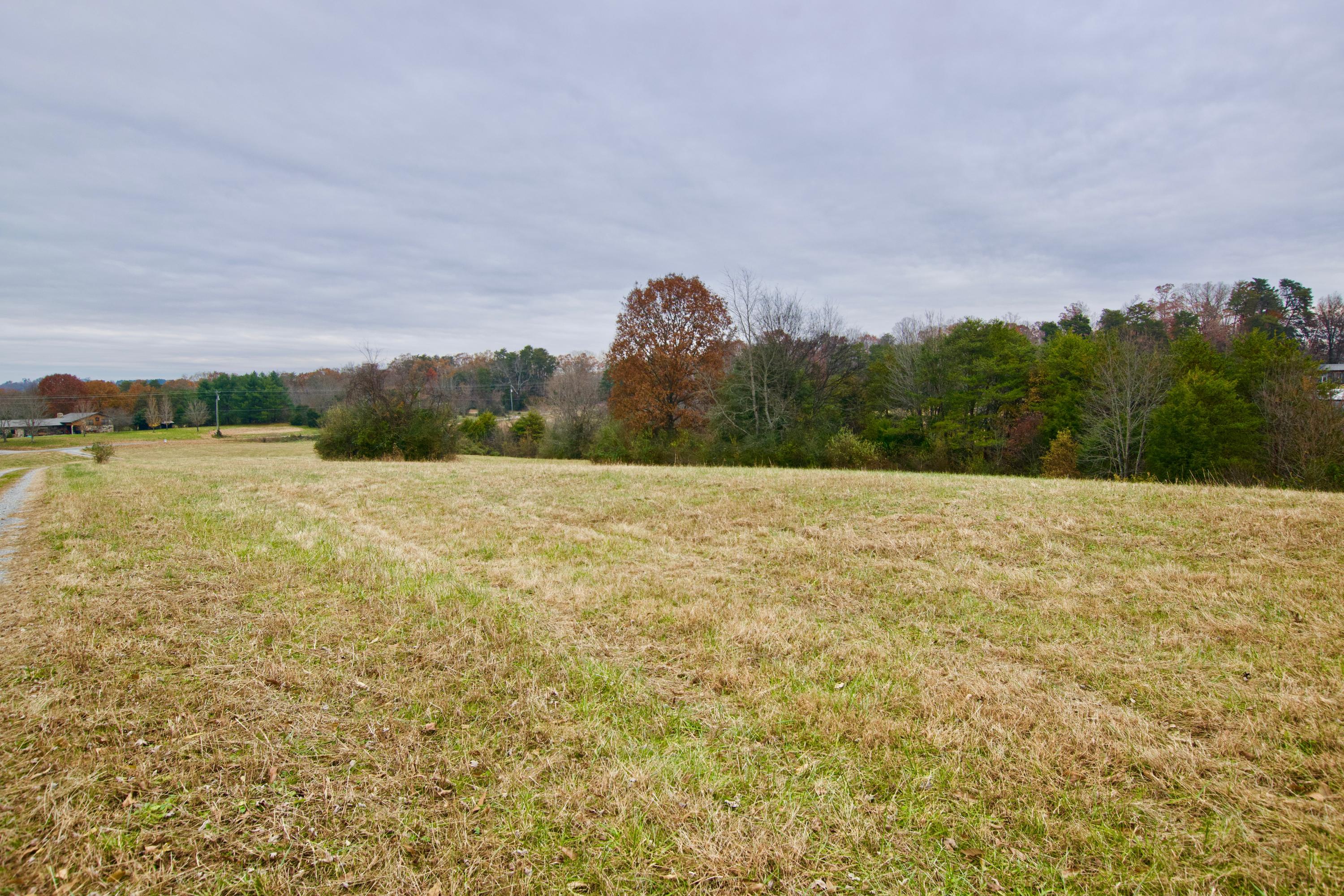 4305 Craigs Chapel Road Greenback, TN 37742 - Photo 38 of 38 DSC_0324