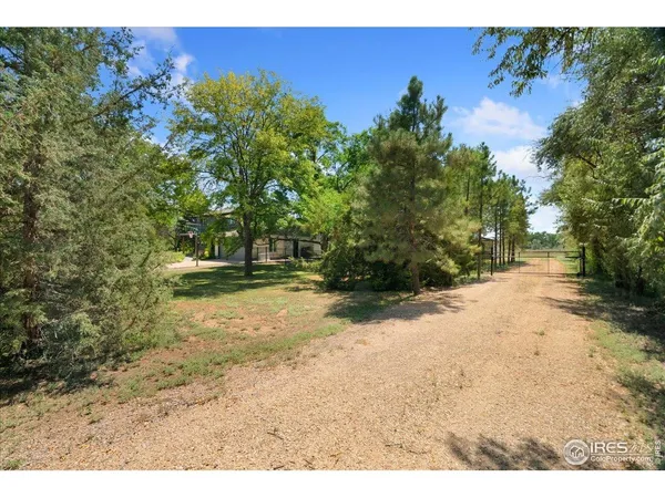 a view of a yard with a tree