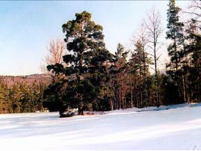 Oo Lily Pond Road Haverhill, NH 03780 - Photo 2 of 2