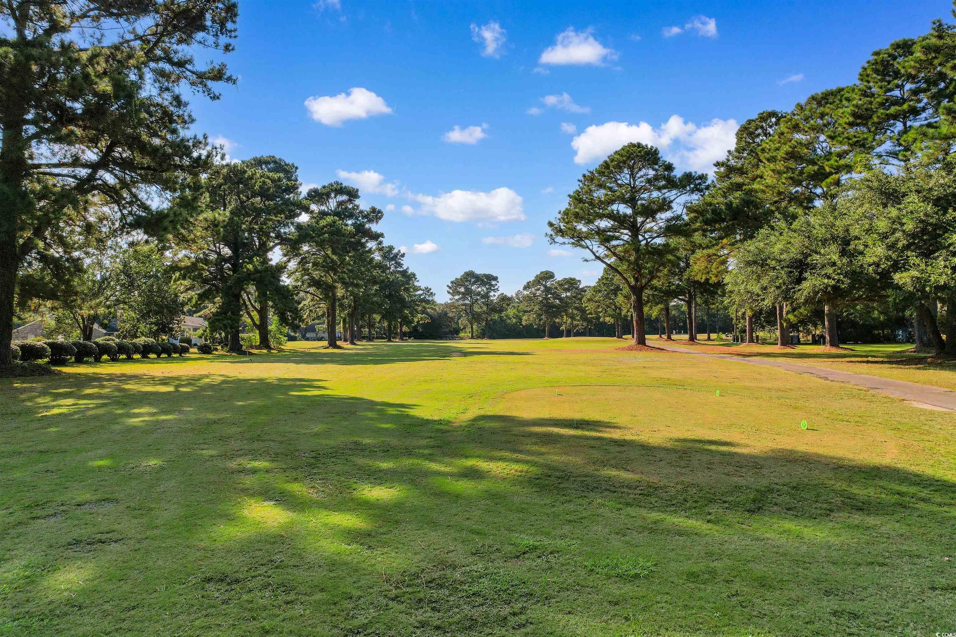 31 Haig Court Georgetown, SC 29440 - Photo 33 of 40