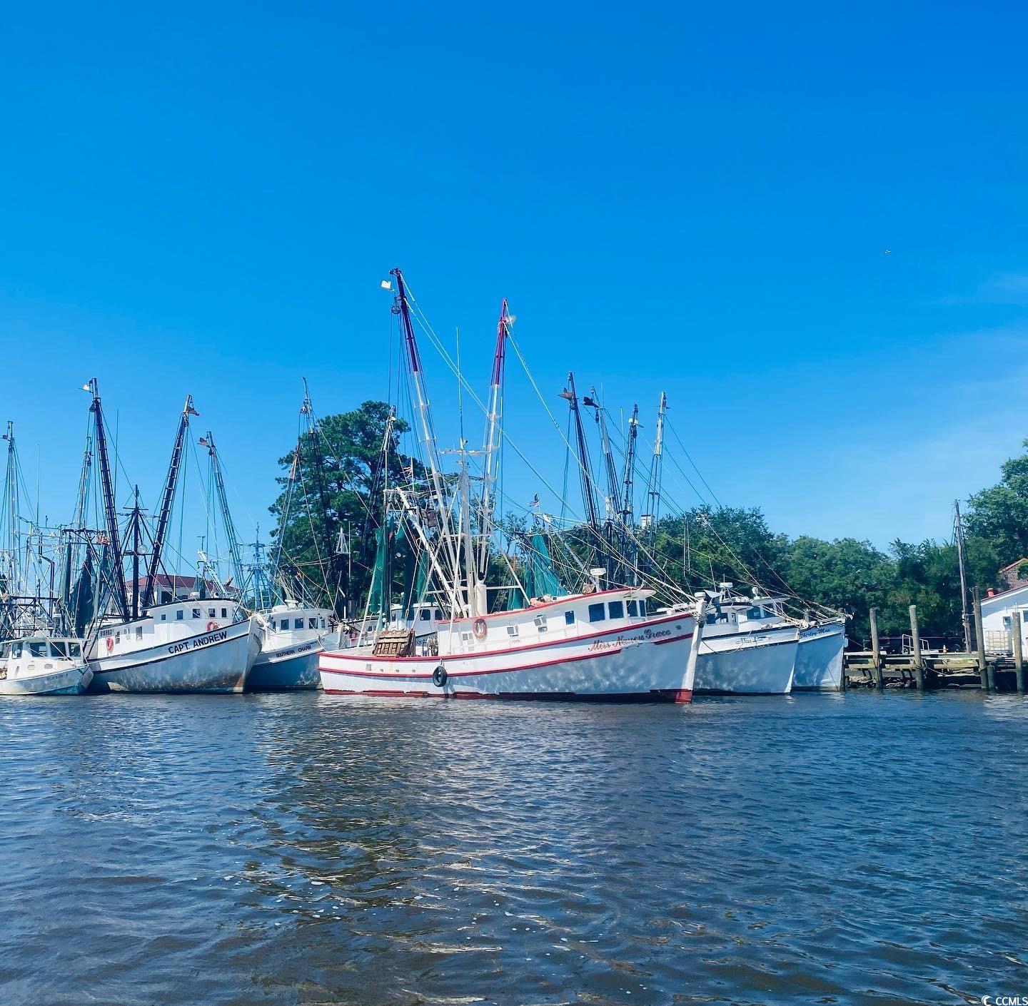 31 Haig Court Georgetown, SC 29440 - Photo 39 of 40