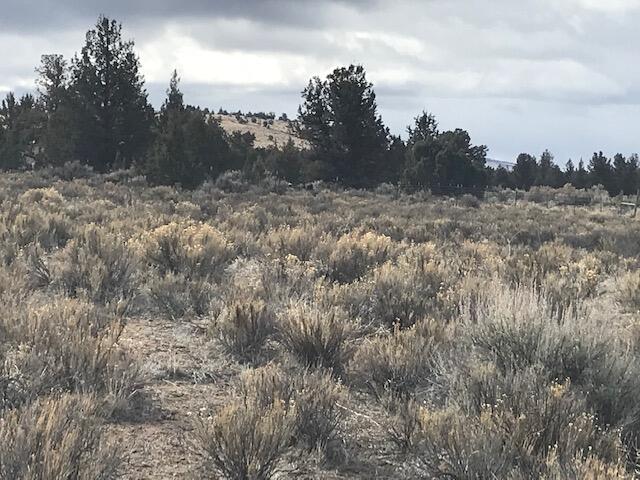 Tbd Southeast Custer Road Prineville, OR 97754 - Photo 4 of 9 IMG_6924
