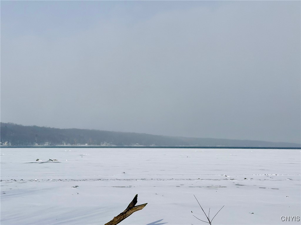 2907 Southeast On Owasco Road Moravia, NY 13118 - Photo 24 of 29