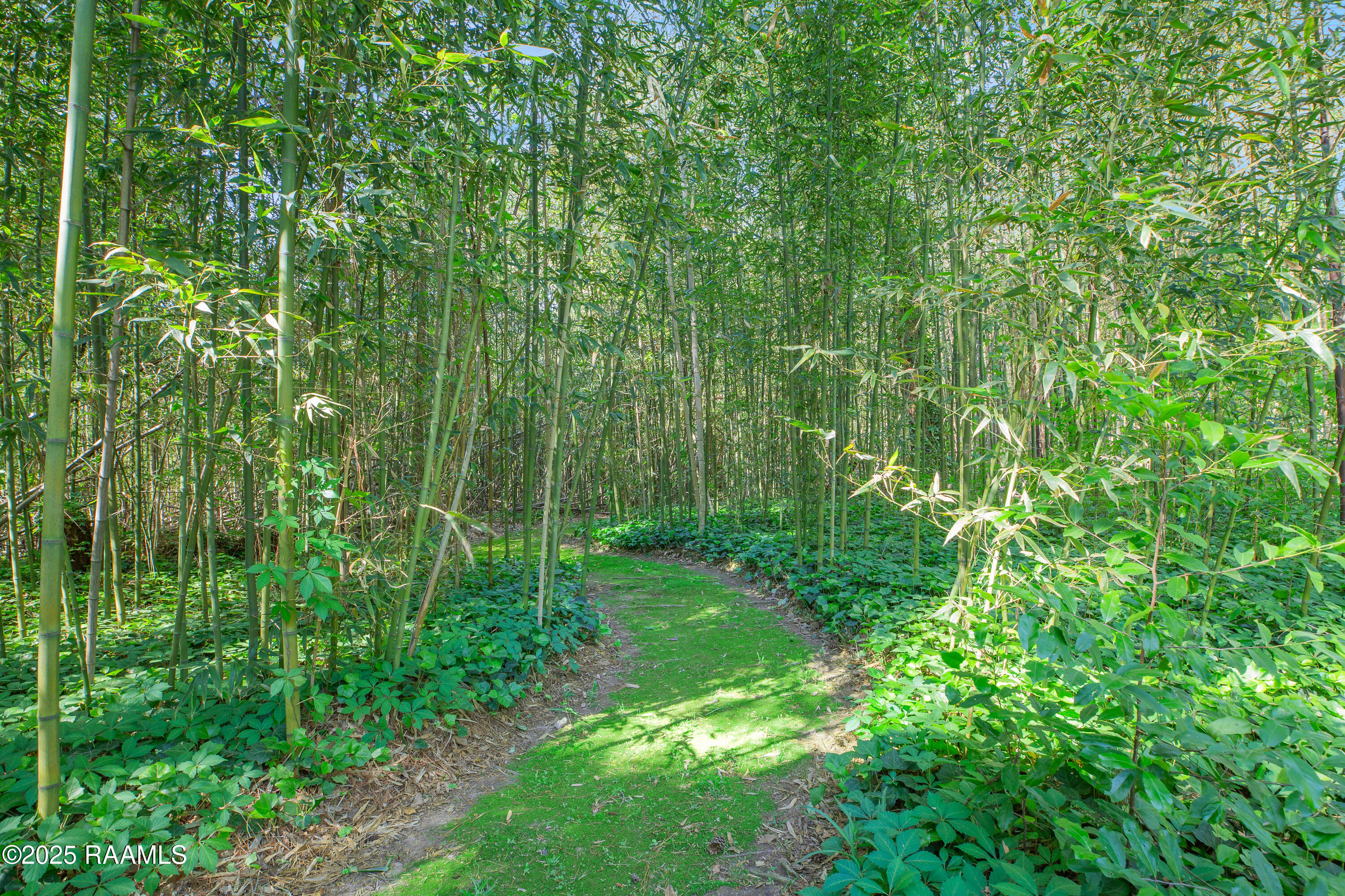 604 Main Street Washington, LA 70589 - Photo 28 of 49 Secret garden path