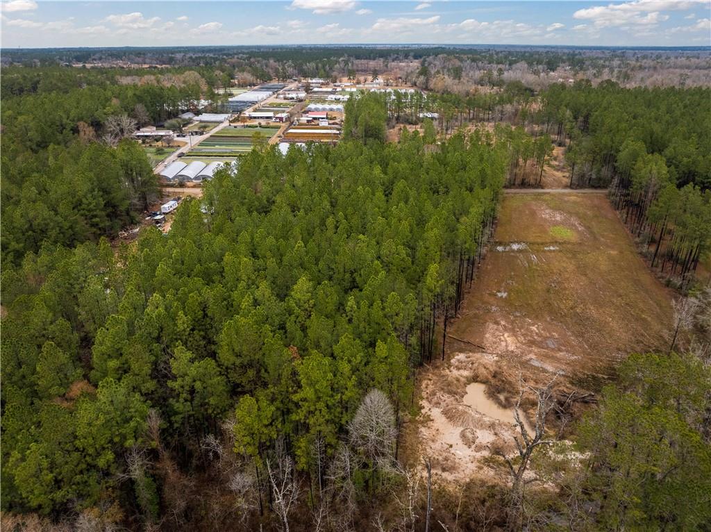 Lot 5 Avon Willis Road Oakdale, LA 71463 - Photo 11 of 16