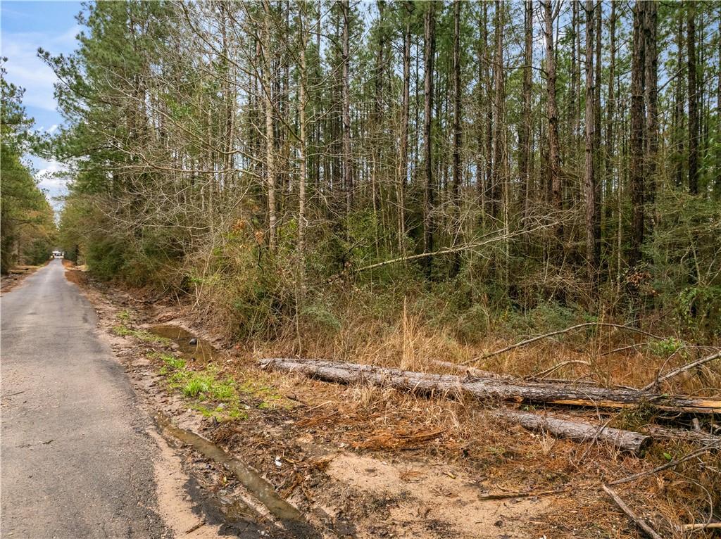 Lot 5 Avon Willis Road Oakdale, LA 71463 - Photo 15 of 16