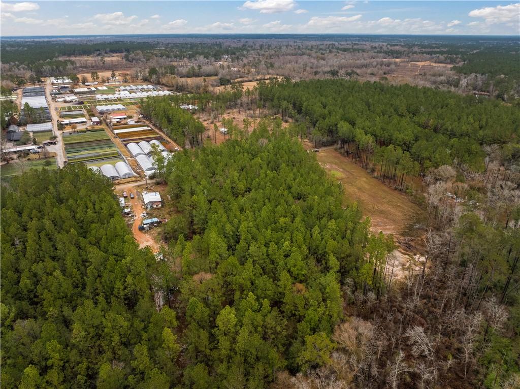 Lot 5 Avon Willis Road Oakdale, LA 71463 - Photo 4 of 16