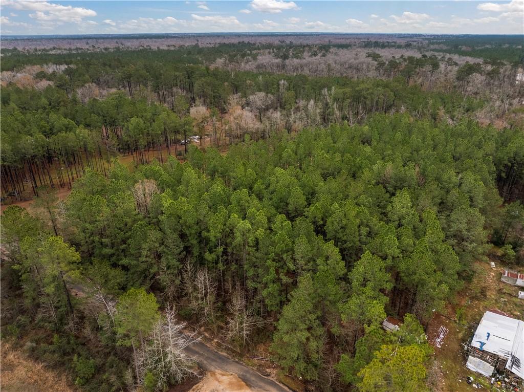 Lot 5 Avon Willis Road Oakdale, LA 71463 - Photo 6 of 16