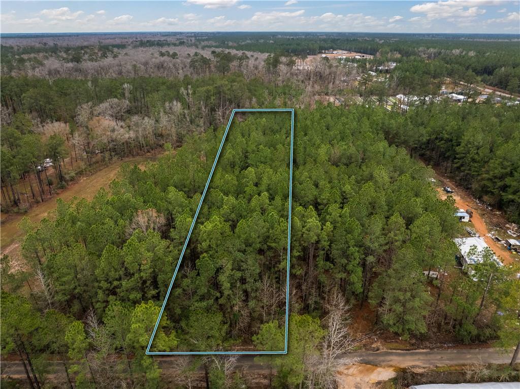 Lot 5 Avon Willis Road Oakdale, LA 71463 - Photo 7 of 16