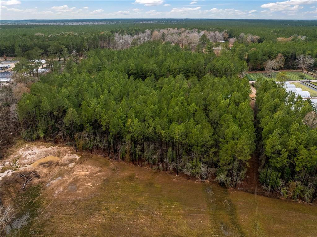 Lot 5 Avon Willis Road Oakdale, LA 71463 - Photo 9 of 16