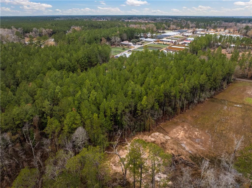 Lot 5 Avon Willis Road Oakdale, LA 71463 - Photo 10 of 16