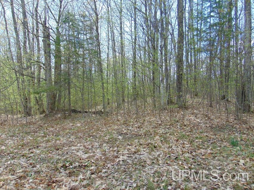 15195 County Road 505 Road Newberry, MI 49868 - Photo 5 of 13