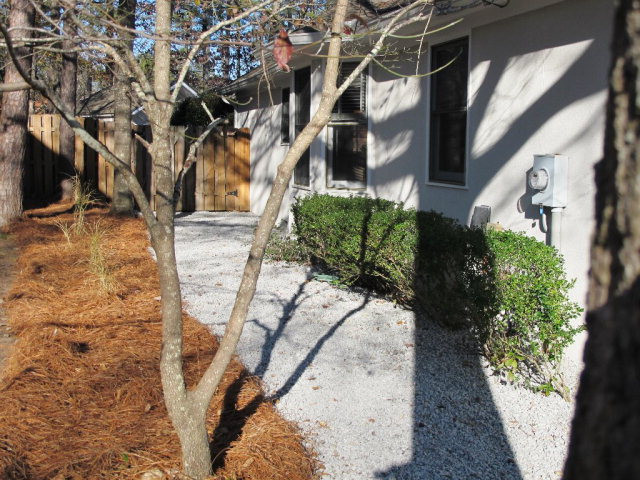 4657 Cutter Mill Road Martinez, GA 30907 - Photo 37 of 43 Left Side