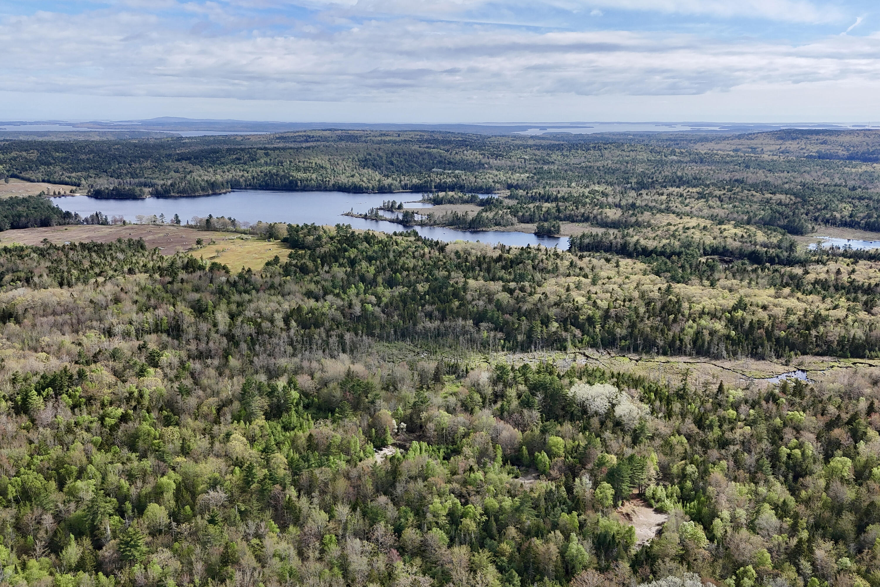 0 Sedgwick Ridge Road Sedgwick, ME 04676 - Photo 13 of 18 Photo May 21 2025, 4 15 58 PM