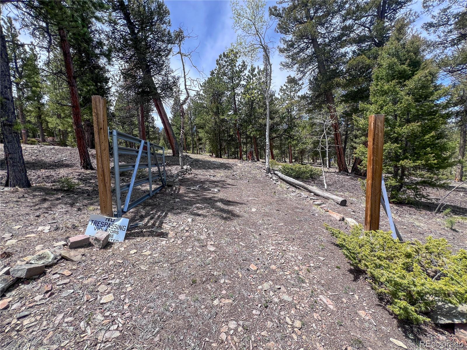 1667 Singletree Road Hartsel, CO 80449 - Photo 4 of 7