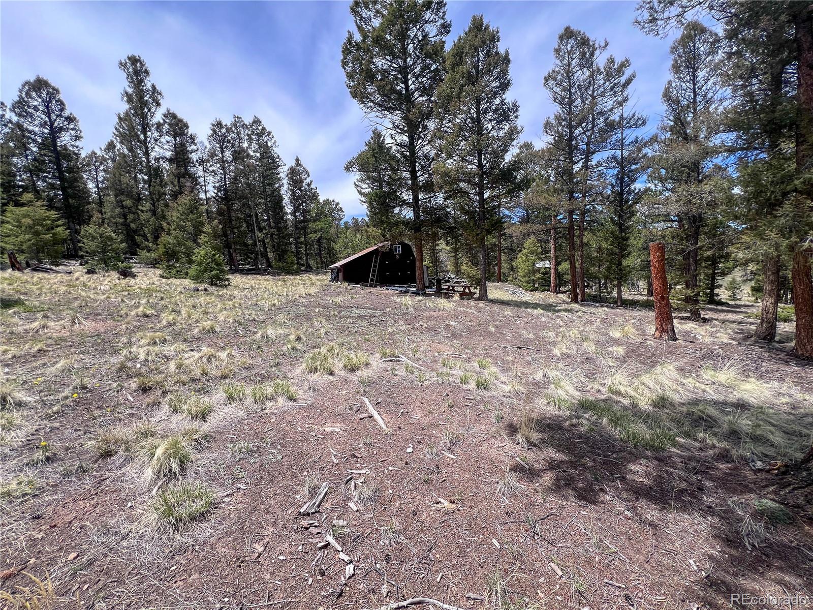 1667 Singletree Road Hartsel, CO 80449 - Photo 5 of 7