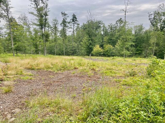 3.86-ac Mudgett Road Parsonsfield, ME 04047 - Photo 8 of 10 IMG_8515