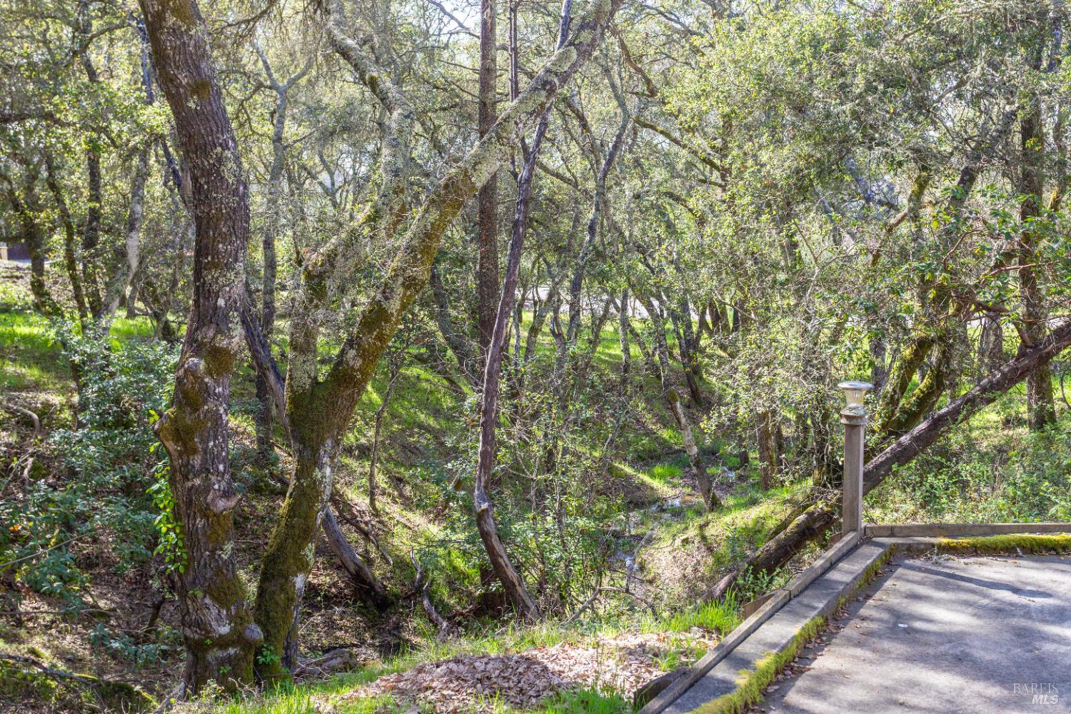 230 Clear Ridge Drive Healdsburg, CA 95448 - Photo 9 of 48 a backyard of a house with lots of green space