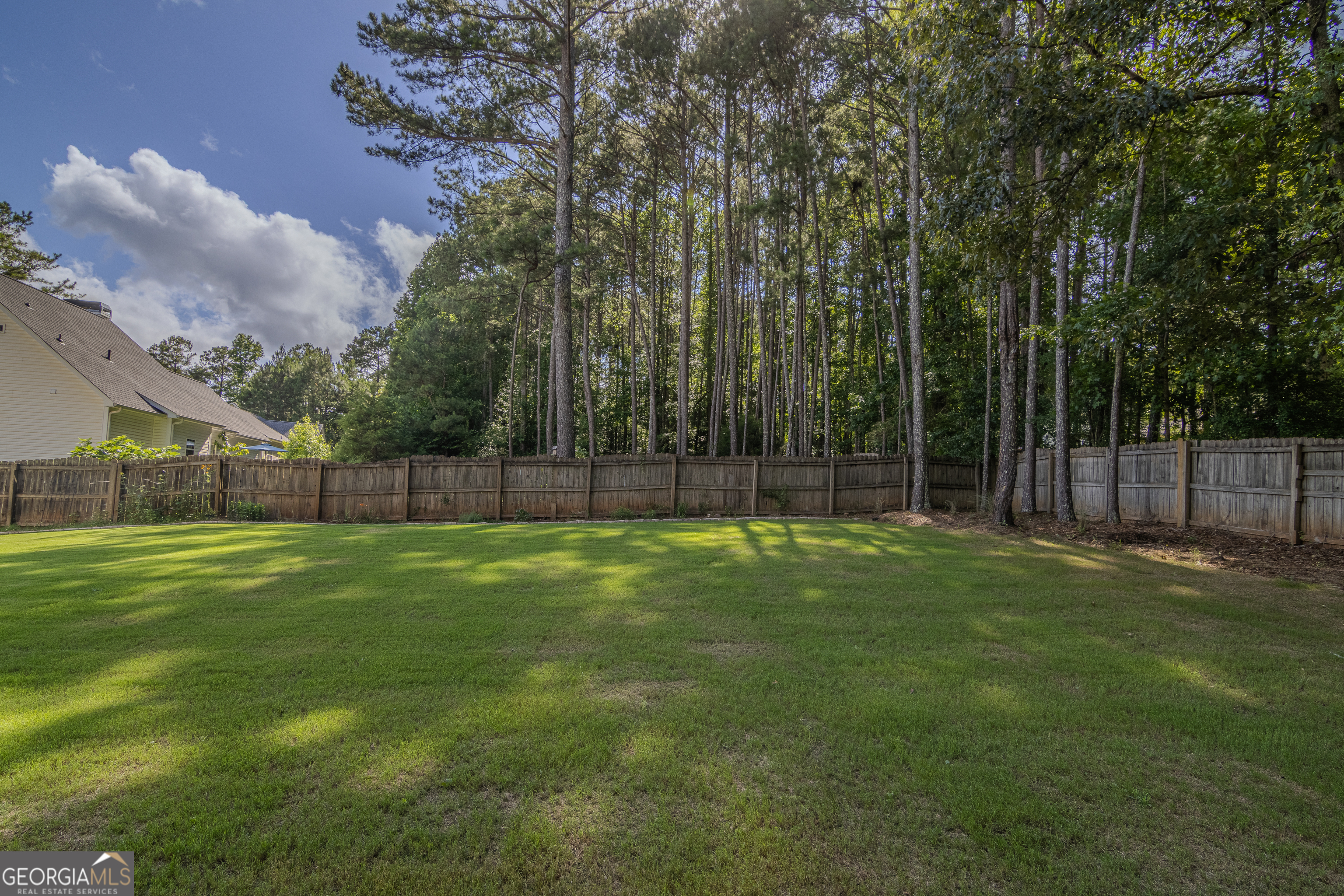 440 S Ridge Senoia, GA 30276 - Photo 54 of 60