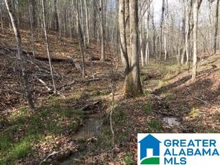 Pioneer Way, Unit 2 Sterrett, AL 35147 - Photo 7 of 24