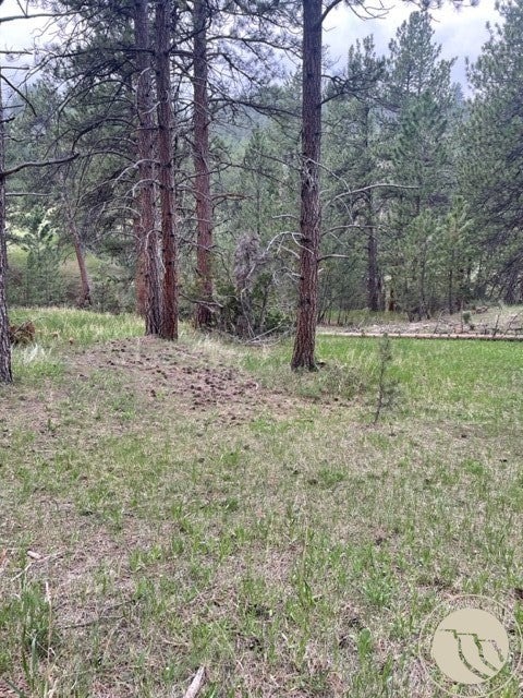 Lot 17 Skibstad Road Road Columbus, MT 59019 - Photo 15 of 28 Gallery Image 15
