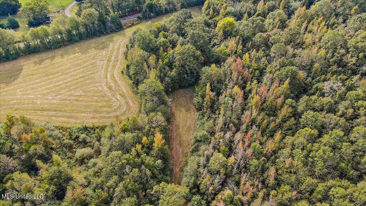 5047 Ludlow Road Lena, MS 39094 - Photo 69 of 87 73-5047 Ludlow Rd