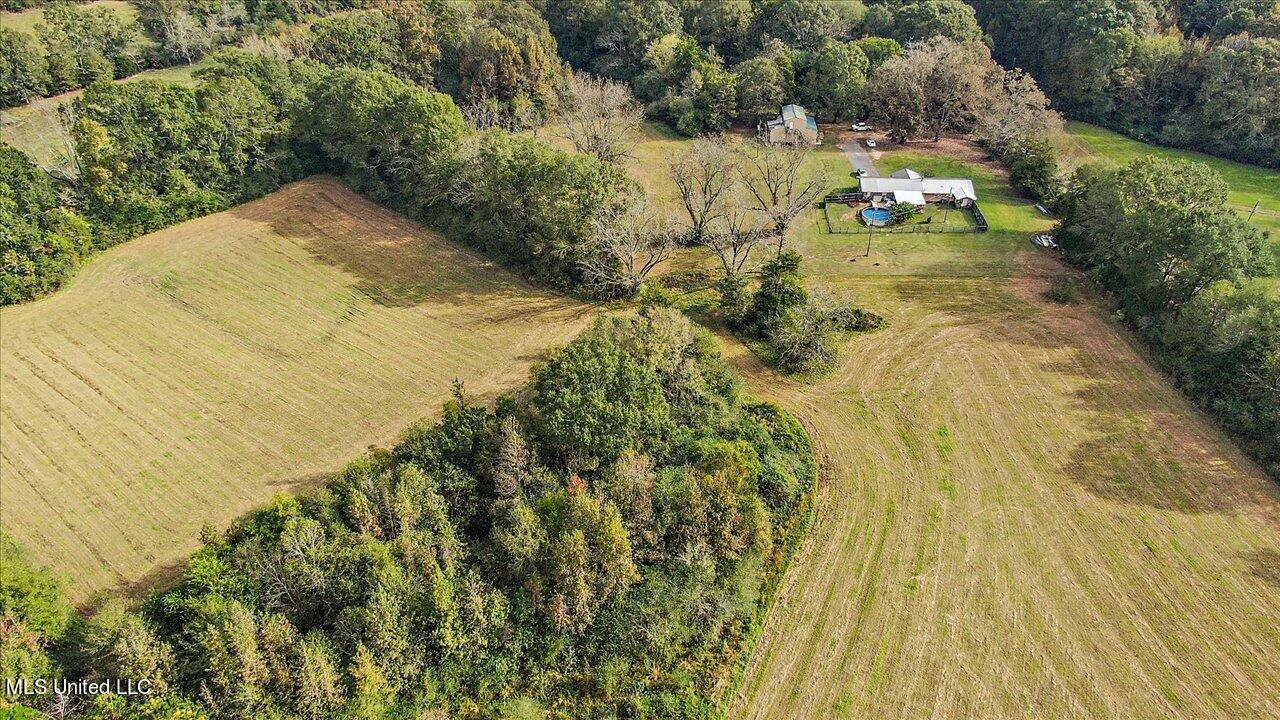 5047 Ludlow Road Lena, MS 39094 - Photo 74 of 87 78-5047 Ludlow Rd