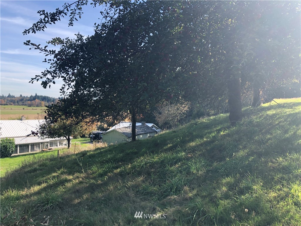 380 Newaukum Valley Road Chehalis, WA 98532 - Photo 6 of 19 a view of a park