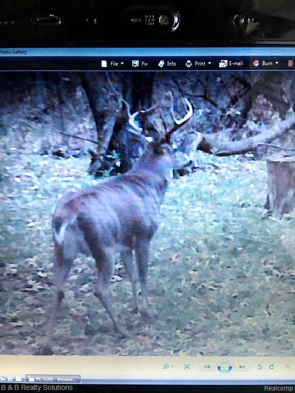 0 Ducker Road Marlette, MI 48453 - Photo 34 of 44