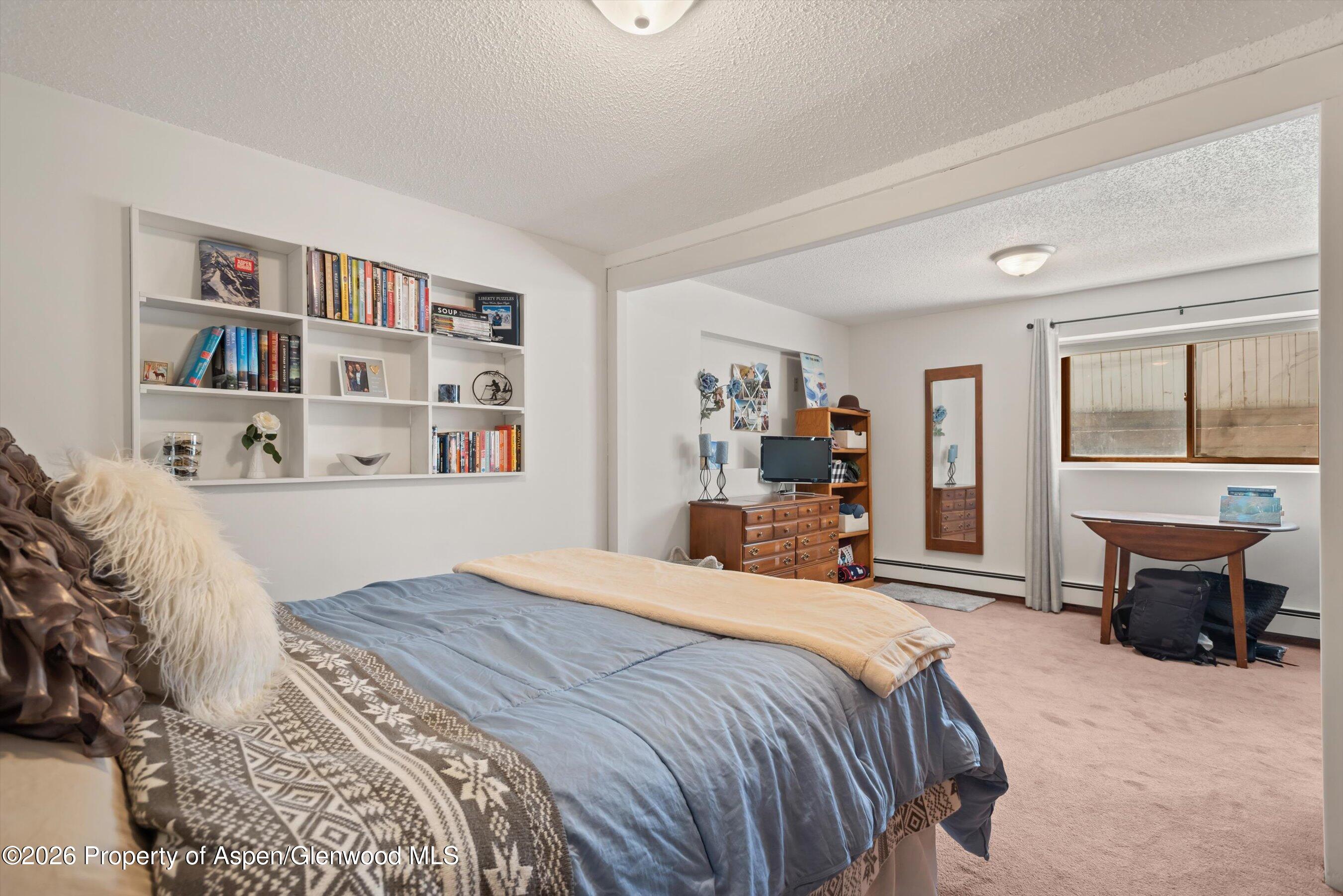 53 Spruce Street, Unit S 1 AND 2 Aspen, CO 81611 - Photo 23 of 67 22-22-534SpruceSt_250429022