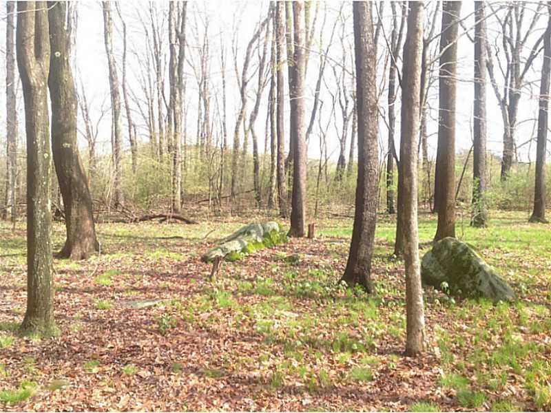 988 Chambersville Road Home, PA 15747 - Photo 18 of 21 Land.