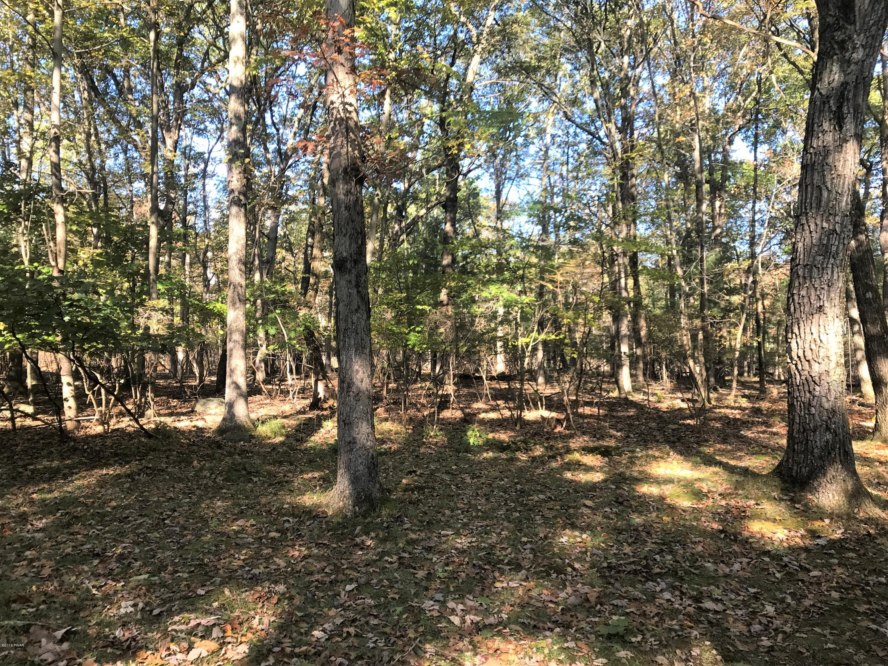 151 Raccoon Road Dingmans Ferry, PA 18328 - Photo 27 of 29 a view of yard