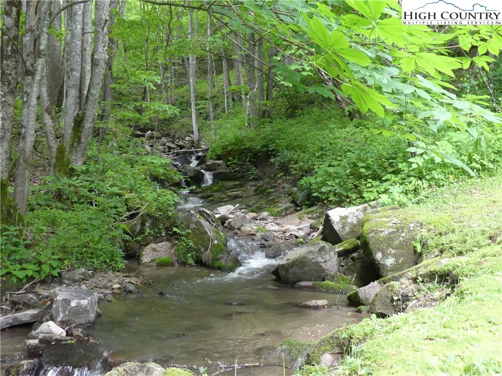 1306 Laurel Branch Road Vilas, NC 28692 - Photo 25 of 27 Gallery Image 25