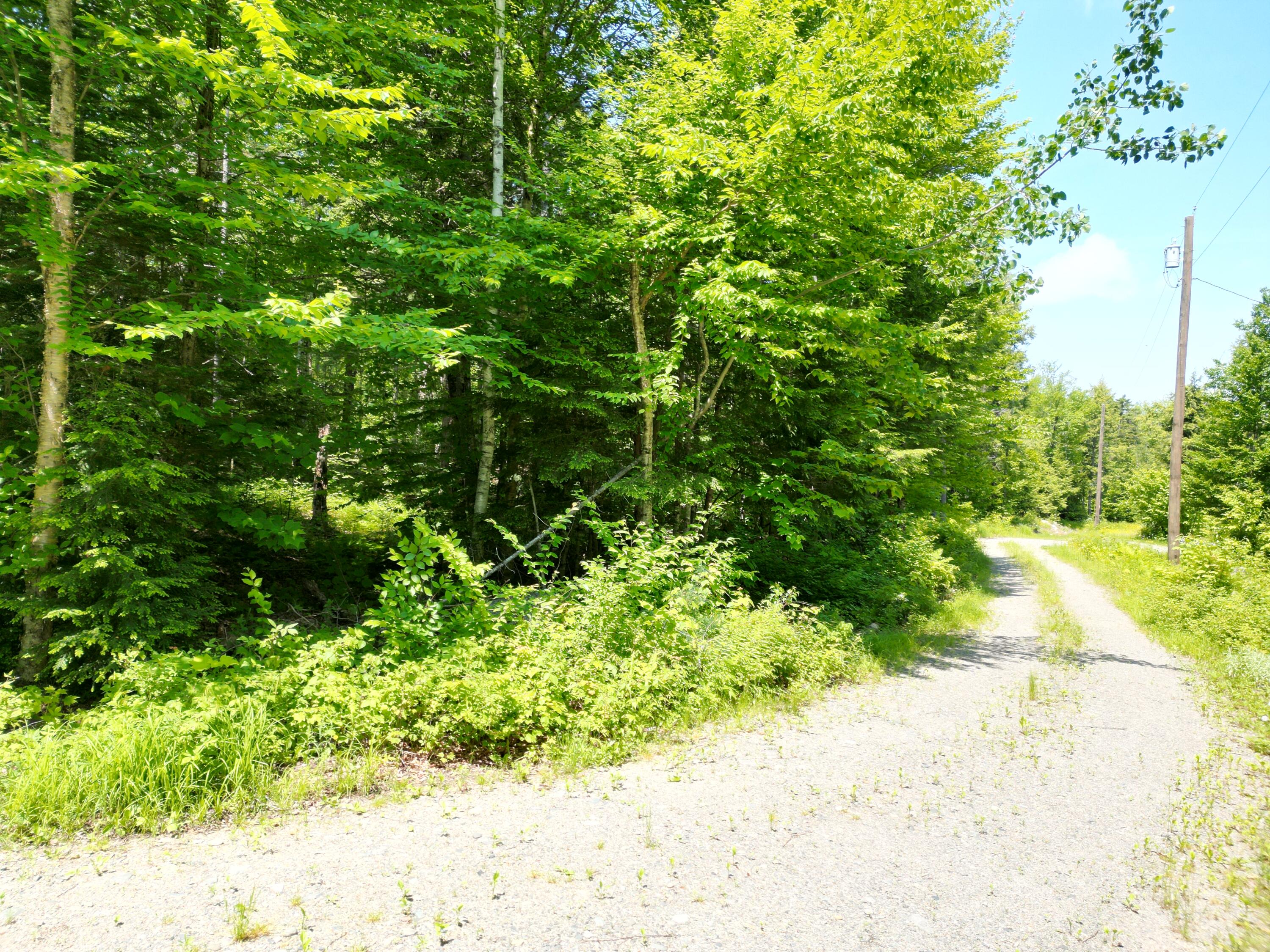 115 Egg Pond Road Lincoln, ME 04457 - Photo 10 of 14 DJI_0303