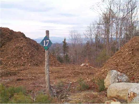 Lot 17 Pease Road Meredith, NH 03253 - Photo 1 of 4