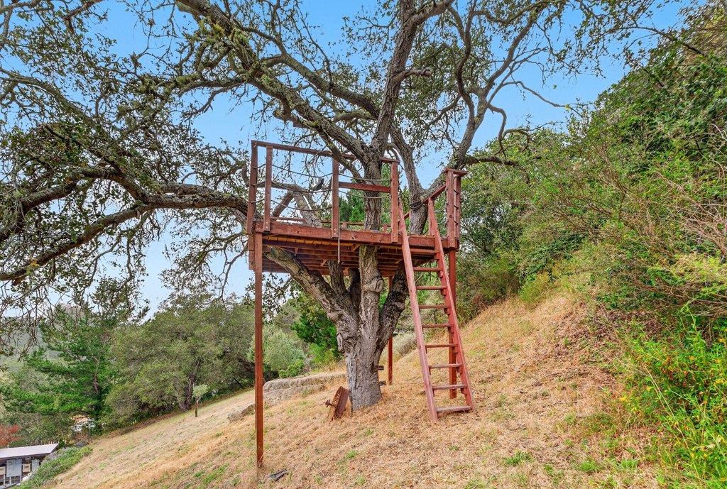 310 Hidden Valley Ridge Soquel, CA 95073 - Photo 69 of 79