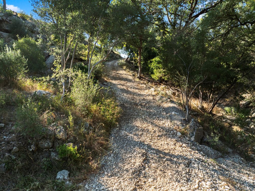 2201 Improver Road Spicewood, TX 78669 - Photo 22 of 26 a view of a forest with lots of trees