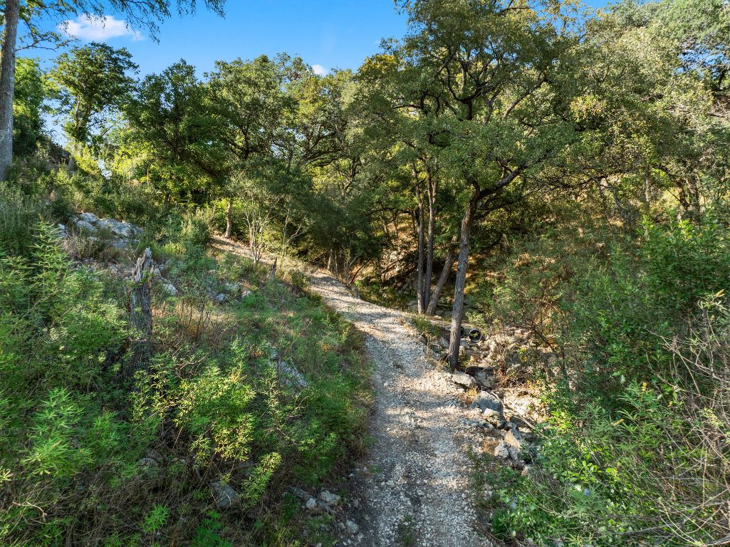 2201 Improver Road Spicewood, TX 78669 - Photo 23 of 26 a view of a forest with a tree