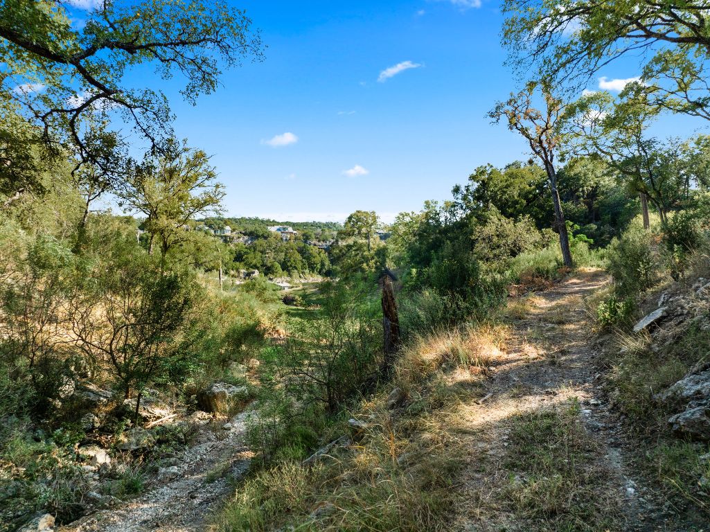2201 Improver Road Spicewood, TX 78669 - Photo 5 of 26 a view of a garden