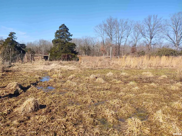 $299,000 | 425 Pioneer Lane, Vienna, IL 62995