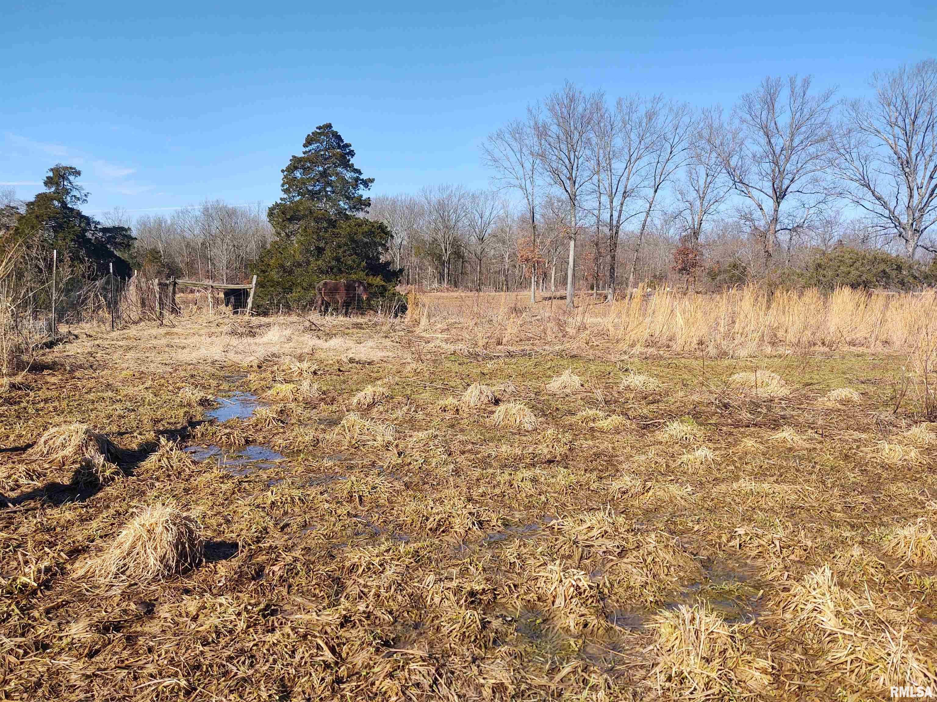 425 Pioneer Lane Vienna, IL 62995 - Photo 23 of 52