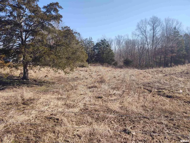 $299,000 | 425 Pioneer Lane, Vienna, IL 62995