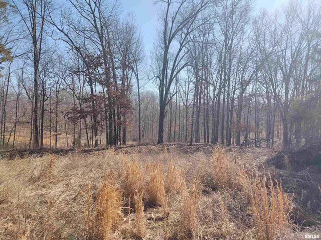 $299,000 | 425 Pioneer Lane, Vienna, IL 62995