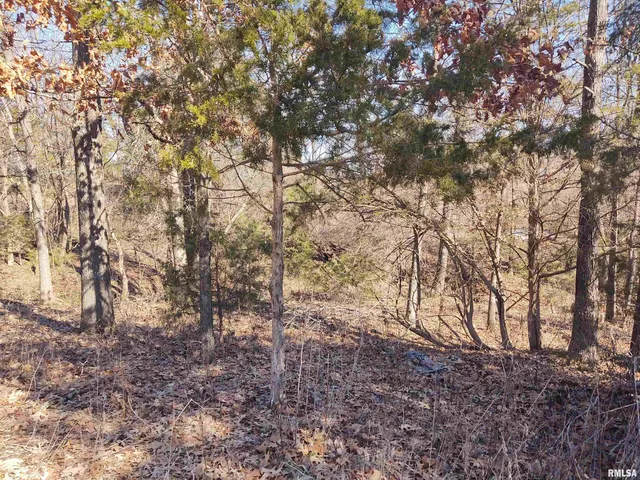 $299,000 | 425 Pioneer Lane, Vienna, IL 62995