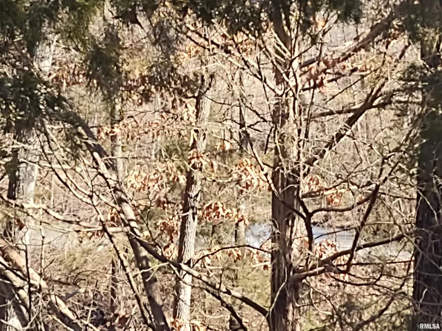 $299,000 | 425 Pioneer Lane, Vienna, IL 62995